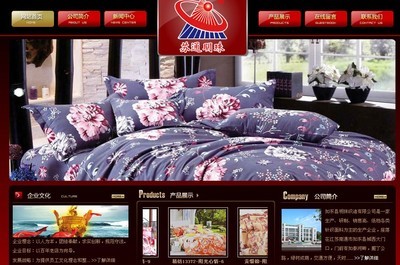 南通網(wǎng)站建設(shè)案例_中企動(dòng)力南通分公司