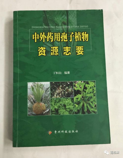 解密檔案 丁恒山 關于通環公司和南通市益康食品飲料廠情況的簡要匯報 1992年4月